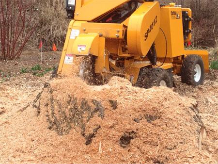 Cutting Edge Tree Service - Stump Grinding Services