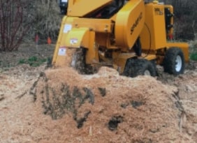Stump Grinding by Cutting Edge Tree Service