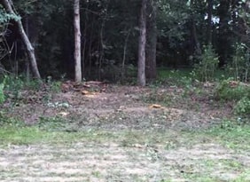 Lot Clearing by Cutting Edge Tree Service